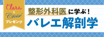 clara「クララ」「クロワゼ」イベント開催決定！〈整形外科医に学ぶ！　バレエ解剖学〉